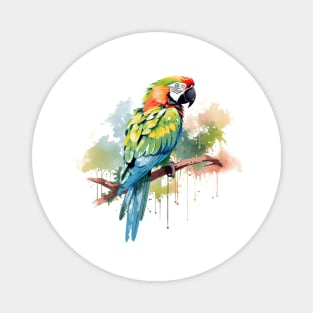 Military Macaw Magnet